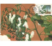 1990 MÁXIMO POSTAL 137 - SOCIEDADE BOTÂNICA - 7483